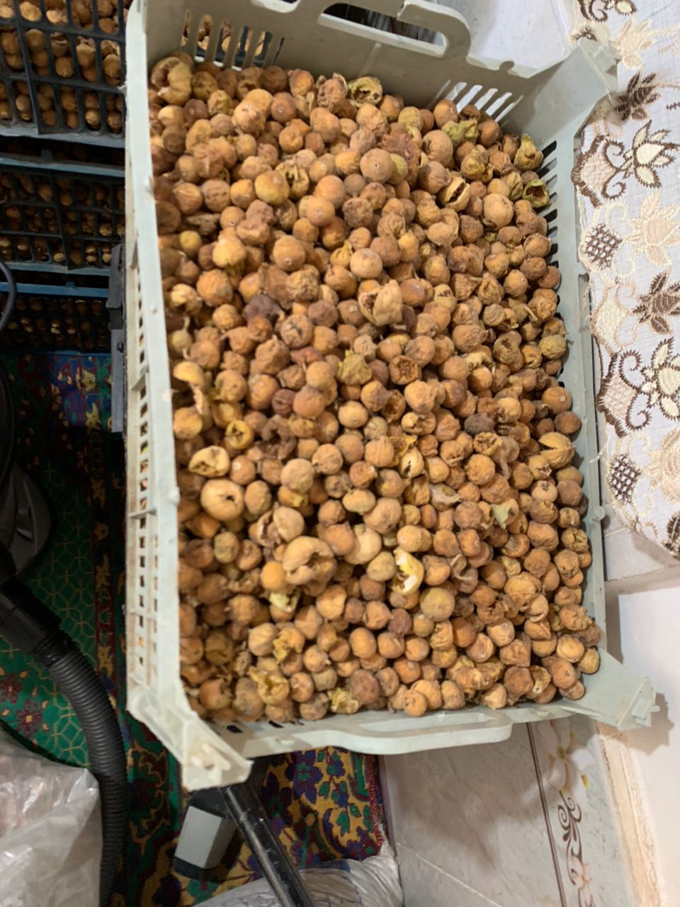 تصویر 1 از فروش انواع انجیر ضایعاتی با برترین قیمت و کیفیت با ارسال به سراسر جهان